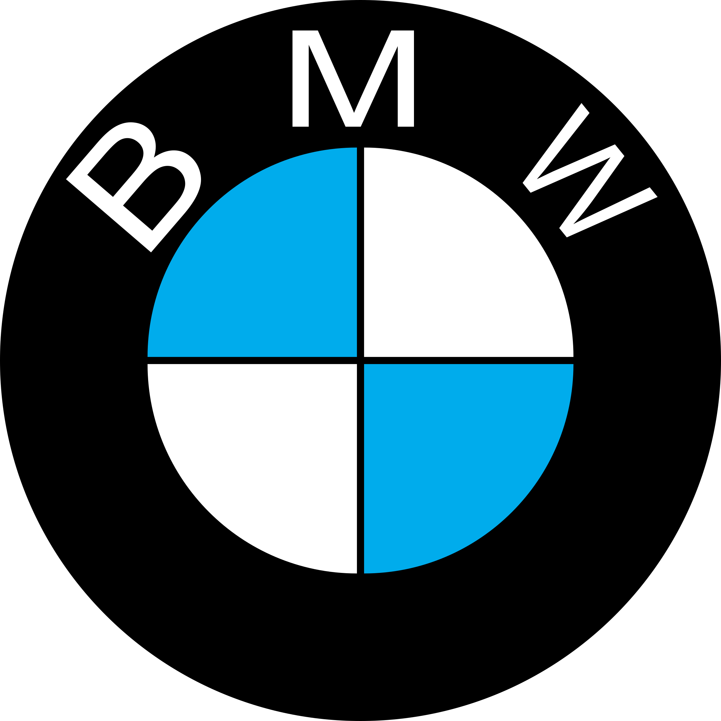 BMW Key Replacement